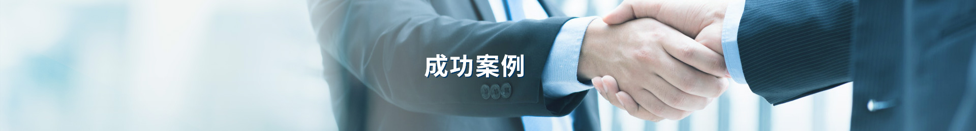 成功案例