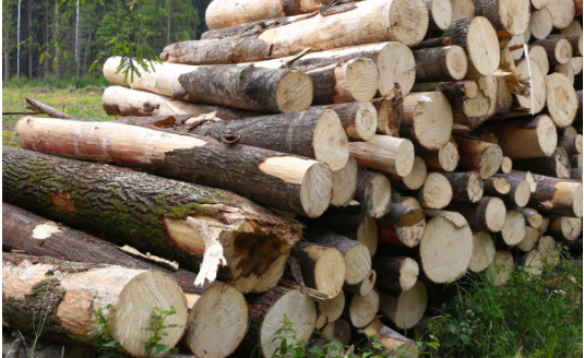 494949开奖结果中奖号码-4949最快开奖结果澳门-494949今晚最快开奖结果-494949最快开奖结果-ww494949最快开奖开奖-2025澳门今晚开奖结果-澳门六开奖结果2025开奖记录-澳门今晚必开一肖一特-494949最快开奖494958DSV200伺服主轴驱动器在旋切机上的应用