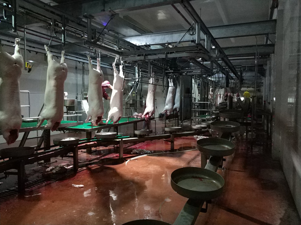 494949开奖结果中奖号码-4949最快开奖结果澳门-494949今晚最快开奖结果-494949最快开奖结果-ww494949最快开奖开奖-2025澳门今晚开奖结果-澳门六开奖结果2025开奖记录-澳门今晚必开一肖一特-494949最快开奖494958Goodrive35在生猪屠宰机械上的成功应用