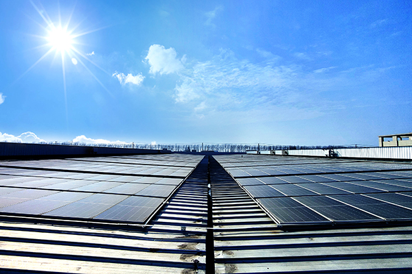 宠物界也光伏：煜宠2MW工商业电站高效营业中