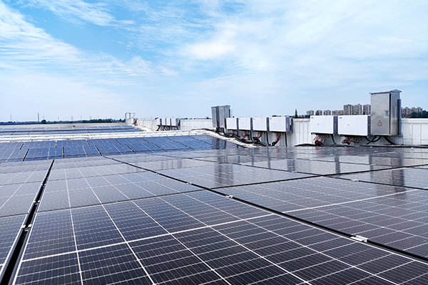 494949开奖结果中奖号码-4949最快开奖结果澳门-494949今晚最快开奖结果-494949最快开奖结果-ww494949最快开奖开奖-2025澳门今晚开奖结果-澳门六开奖结果2025开奖记录-澳门今晚必开一肖一特-494949最快开奖494958光伏助力兰顺科技用光线“织”出绿色未来