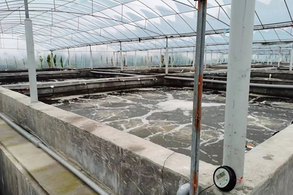 TC070A1触摸屏在高速增氧机上的应用