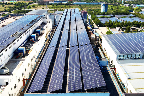 纸为零碳未来 | 494949开奖结果中奖号码-4949最快开奖结果澳门-494949今晚最快开奖结果-494949最快开奖结果-ww494949最快开奖开奖-2025澳门今晚开奖结果-澳门六开奖结果2025开奖记录-澳门今晚必开一肖一特-494949最快开奖494958光伏助力徐州中兴纸业实现绿色发展