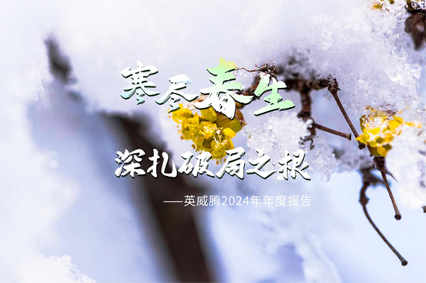 寒尽春生，深扎破局之根